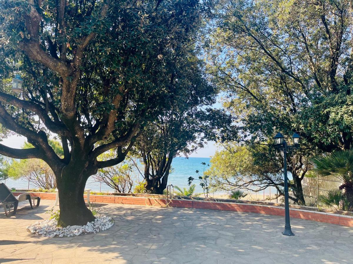 Greg Stupenda Location Sulla Con Accesso Diretto Al Mare Terracina