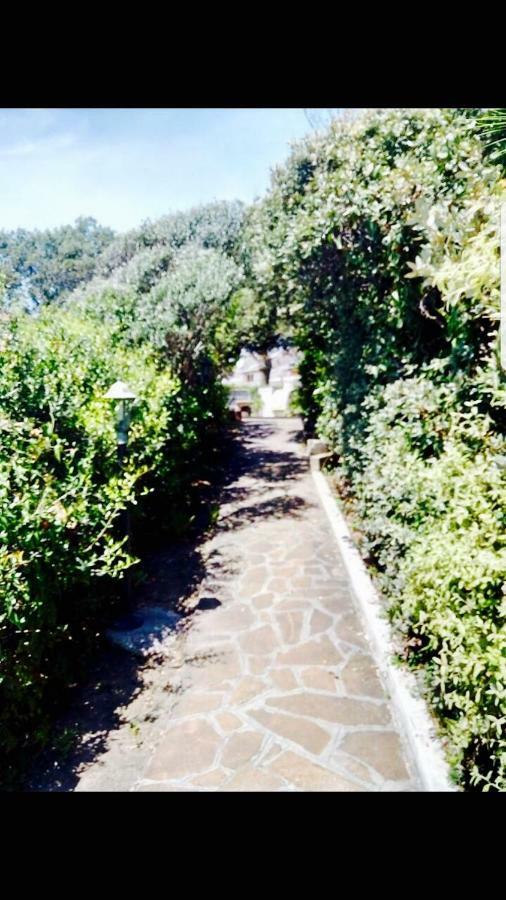 Villa Greg Stupenda Location Sulla Con Accesso Diretto Al Mare Terracina
