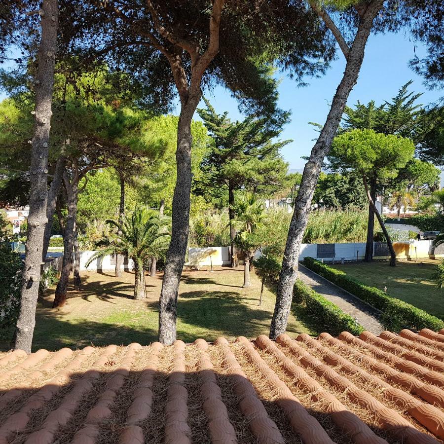 Villa Greg Stupenda Location Sulla Con Accesso Diretto Al Mare Terracina